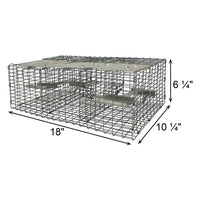 Troyer's Birds' Paradise Wire Sparrow Trap