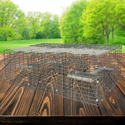 Troyer's Birds' Paradise Wire Sparrow Trap