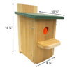 Troyer's S&S Eliminator Trap