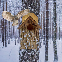 Uncle Dunkel's Bark Clad Screech Owl House