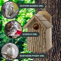 Uncle Dunkel's Bark Clad Screech Owl House