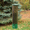 Bouncer Squirrel Proof Bird Feeder - BirdHousesAndBaths.com
