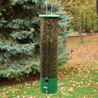 Bouncer Squirrel Proof Bird Feeder - BirdHousesAndBaths.com