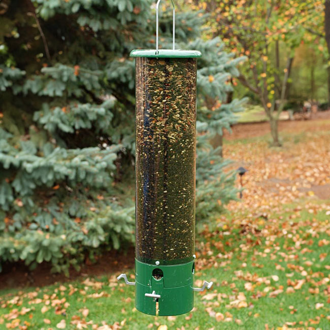 Bouncer Squirrel Proof Bird Feeder - BirdHousesAndBaths.com