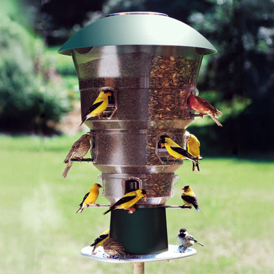 Electronic 12 port Squirrel Proof Bird Feeder