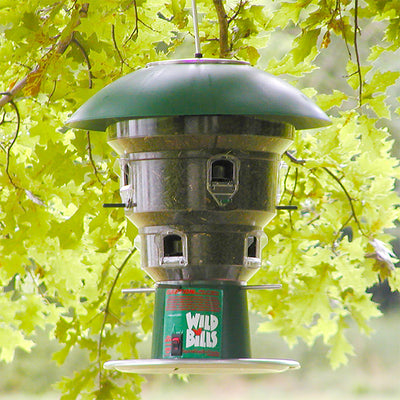 Electronic 8 Port Squirrel Proof Bird Feeder