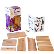 Bat House DIY Craft Kit, 15 bats