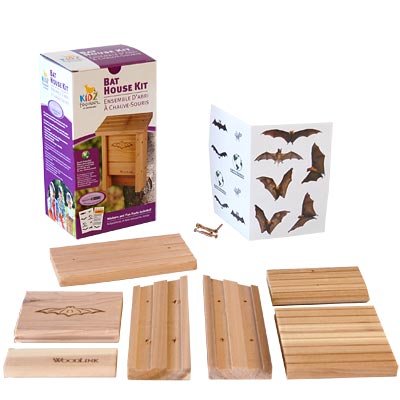 Bat House DIY Craft Kit, 15 bats