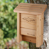 Bat House DIY Craft Kit, 15 bats