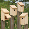 Woodlink Bluebird Houses 4 Pack