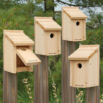 Woodlink Bluebird Houses 4 Pack