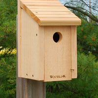 Woodlink Bluebird House