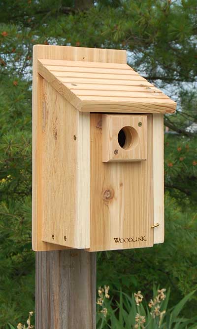 Traditional Bluebird House