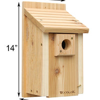 Traditional Bluebird House