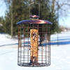 Squirrel-Resistant Brushed Copper Seed Tube Bird Feeder