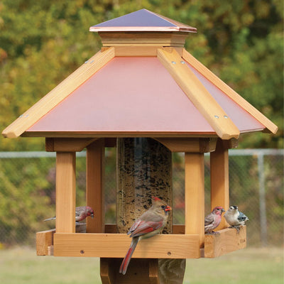 Coppertop Gazebo Bird Feeder, Large