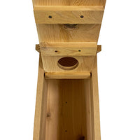 Kestrel and Screech Owl House