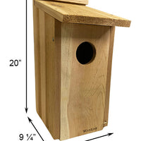 Kestrel and Screech Owl House