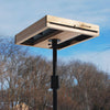 3in1 Platform Bird Feeder