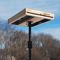 3in1 Platform Bird Feeder