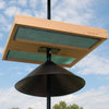 Giant Pole Mounted Seed Tray with Pole Adapter