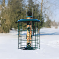 Caged Seed Tube Bird Feeder