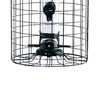 Caged Seed Tube Bird Feeder