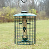 Caged Seed Tube Bird Feeder