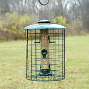 Caged Seed Tube Bird Feeder
