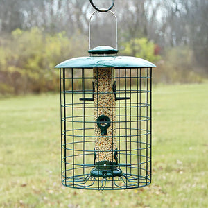 Caged Seed Tube Bird Feeder