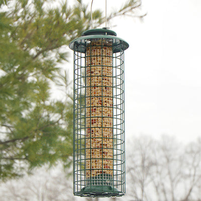 Caged Screen Tube Bird Feeder