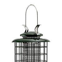 Caged Screen Tube Bird Feeder