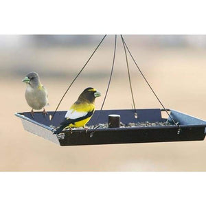 3in1 Platform Bird Feeder - BirdHousesAndBaths.com