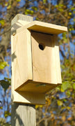 Joy Box Eastern Bluebird House - BirdHousesAndBaths.com