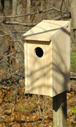 Joy Box Screech Owl and Kestrel House - BirdHousesAndBaths.com