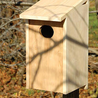 Joy Box Wood Duck House - BirdHousesAndBaths.com