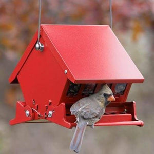 Absolute II Mini Bird Feeder - BirdHousesAndBaths.com