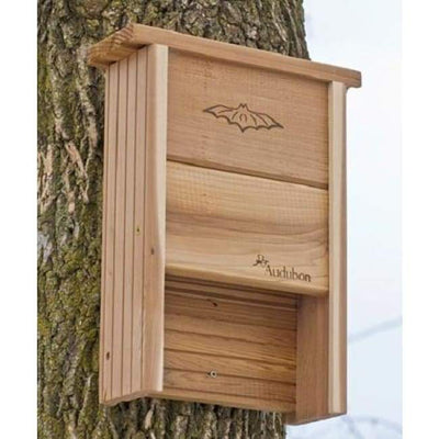Audubon Cedar Bat Shelter for 20 bats - BirdHousesAndBaths.com