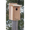Audubon Cedar Bluebird House - BirdHousesAndBaths.com