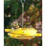 Audubon Classic Butterfly Feeder - BirdHousesAndBaths.com