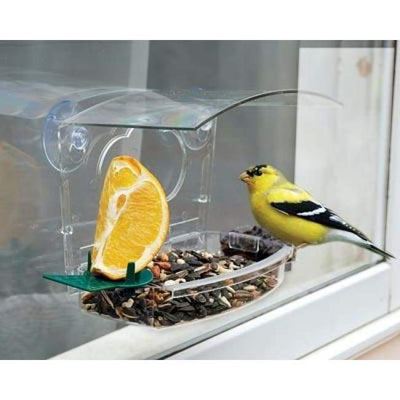 Audubon Mixed Treat Window Feeder - BirdHousesAndBaths.com