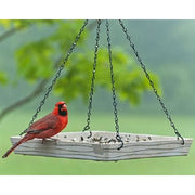 Audubon Plant Fiber-Based Premium Hanging Platform Feeder - BirdHousesAndBaths.com