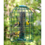 Audubon Squirrel-Resistant Caged Tube Bird Feeder - BirdHousesAndBaths.com