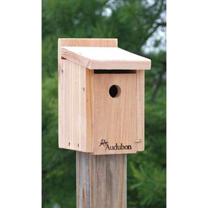 Audubon Wren and Chickadee House - BirdHousesAndBaths.com