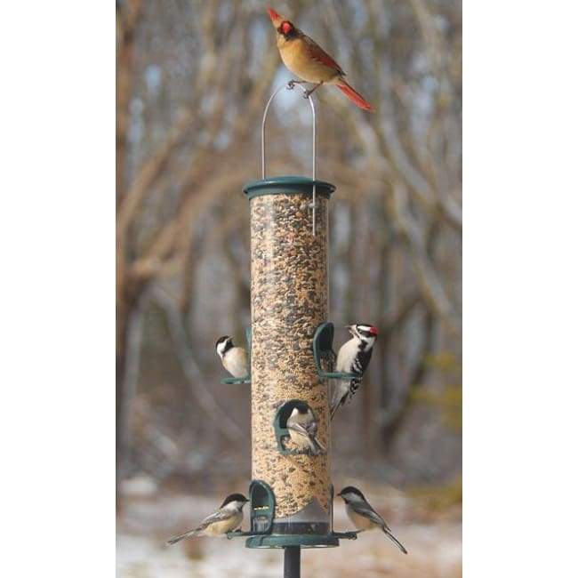 Big Tube Wild Bird Feeder, Spruce