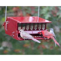 Bird's Choice Squirrel Proof Bird Feeder, Red - BirdHousesAndBaths.com