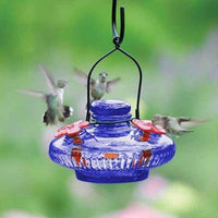 Bloom Hummingbird Feeder, Blue - BirdHousesAndBaths.com