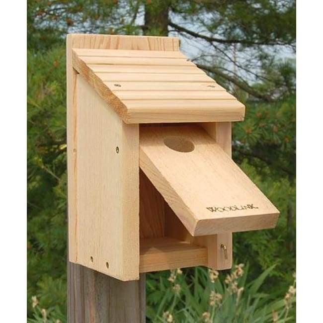 Bluebird House - BirdHousesAndBaths.com