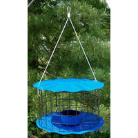 Caged Bluebird Feeder, Blue - BirdHousesAndBaths.com
