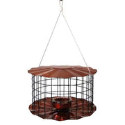 Caged Bluebird Feeder, Copper Colored - BirdHousesAndBaths.com